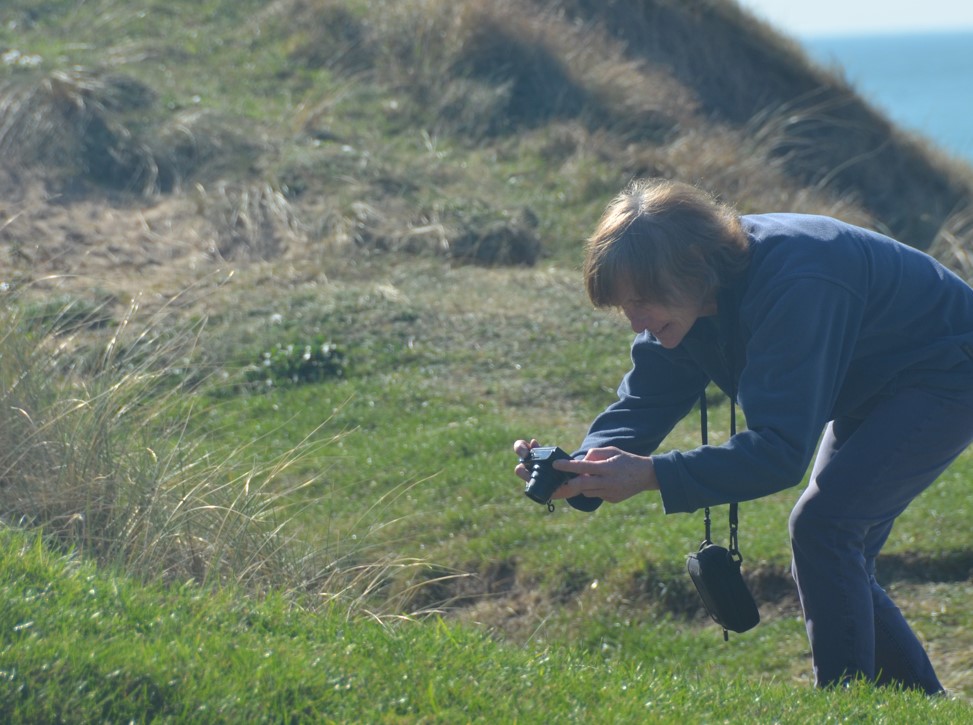 observateurs%20nature